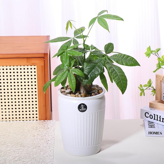 10lbs Rocks for Plants Indoor, 3/8 Inch Small Pebbles for Plants, Aquariums, Bamboo, Vase, Succulent, Outdoor Landscaping, Decorative Plant Rocks for Pots Indoor, Polished Mixed Color