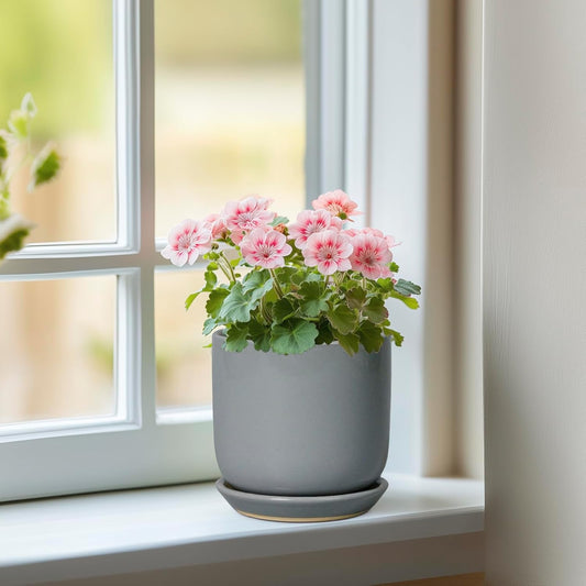 Ceramic Plant Pot 5 Inch - Modern Succulent Planter for Outdoor Indoor Plants with Drainage Hole and Saucer, Modern Home Decor, Gray