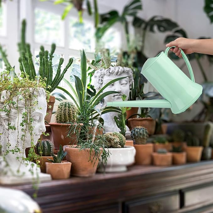 XXXFLOWER 1/2 Gallon Small Indoor Plant Watering Can, 2L Long Spout Removable Nozzle Flower Watering Pot for Office House Indoor Garden(Green, 67 oz)