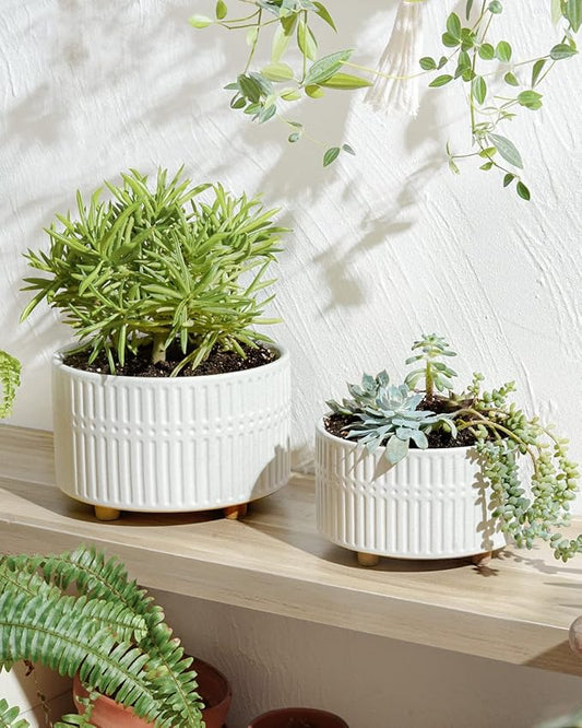 LE TAUCI Succulent Pots, 6.5+8 Inch Ceramic Indoor Plant Pot with Drainage Hole, Shallow Round Succulent Planters, Set of 2, Matte White