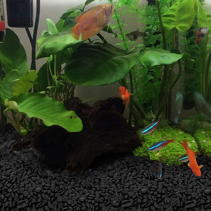 Mr. Fireglass Black Polished Pebbles, 3/8" Aquarium Rocks Natural Decorative River Rocks Gravel for Indoor Plants,Vases, Landscaping, Succulents and Home Decor (2-lb Bag)