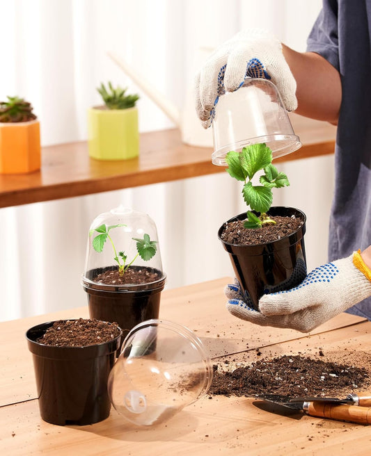 homenote Nursery Pots for Plants,3 Inch Plant Pot for Planting with Humidity Domes Plastic Seedling with Drainage Holes Seed Starter Flower with 10 Labels Black (30 Pack)