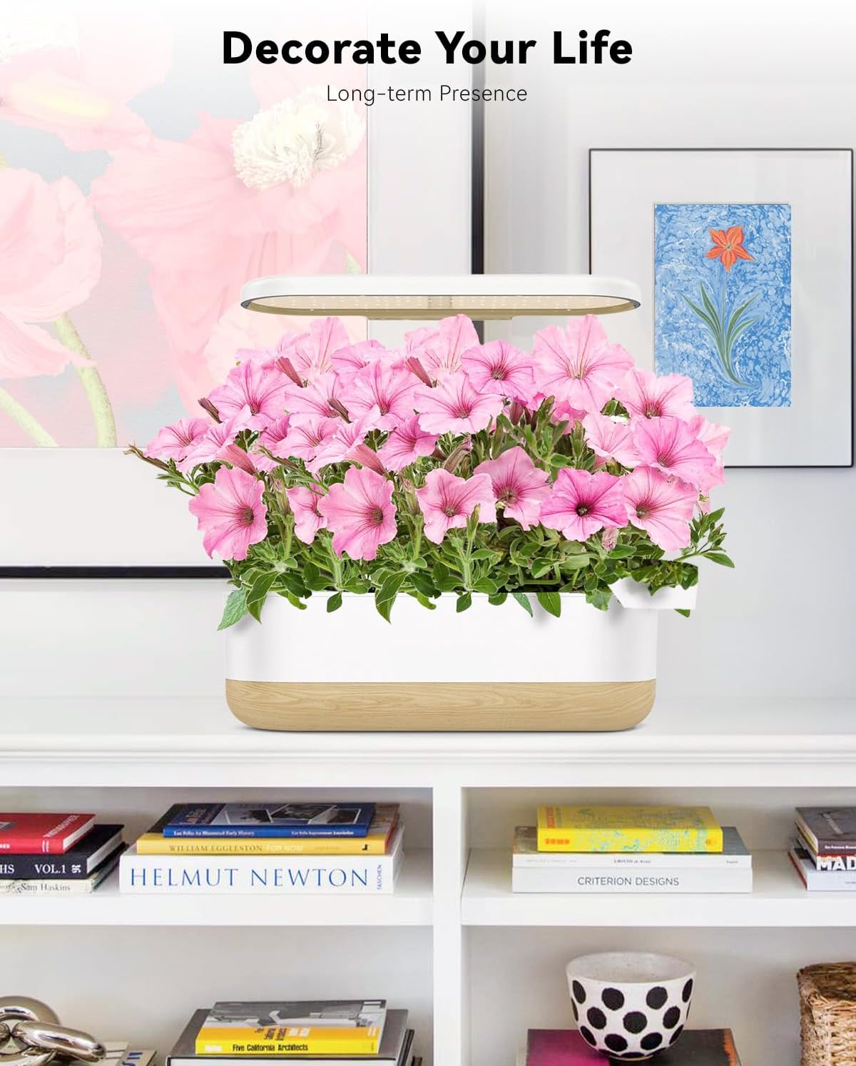 LYKOCLEAN 16 Pods Flower Seed Kit Compatible with AeroGarden Hydroponics Growing System, Indoor Garden Starter Set with Lavender, Sunflower, Petunia and Marigold