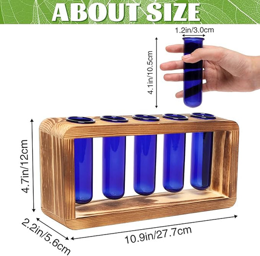 Glass Plant Propagation Station with 5 Test Tubes Colorful Planter Vase Birthday Gifts for Women in Wooden Stand