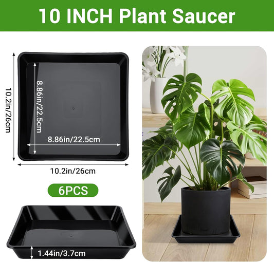 GREANER 6 Packs Square Plant Saucer, Plant Water Dray Tray, Durable Thick Plant Pot Dish for Flower Pot, Plastic Plant Tray to Catch Water for Indoor Outdoor(10 Inch, Black)