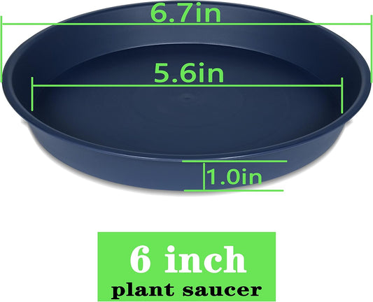 6 Pack Plant Saucer Drainage Tray, Plastic Plant Water Tray, 6 inch Flower Saucers for Indoors, Plant Dishes for Pots Base (6 inch, Blue)