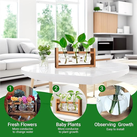 Propagation Station, Plants Terrarium, Plants Lover Gifts for Women,Plant Cutting Holder Home décor,Gifts for Women,House Warming New Home-3 Bulbs-Easy