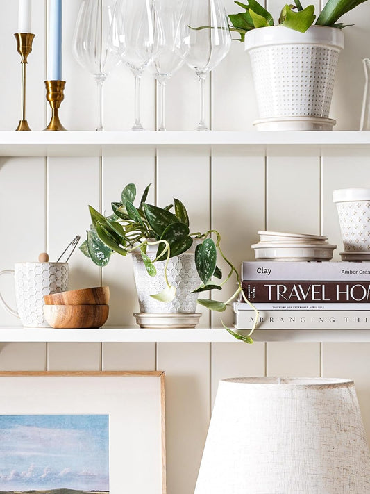 LE TAUCI Ceramic Plant Pots, 4.9 Inch Flower Pots with Drainage Hole & Saucer, Embossed Planter Pots for Indoor Plant Succulent, Orchid, Cactus, Home Decor - Set of 4, Arctic White