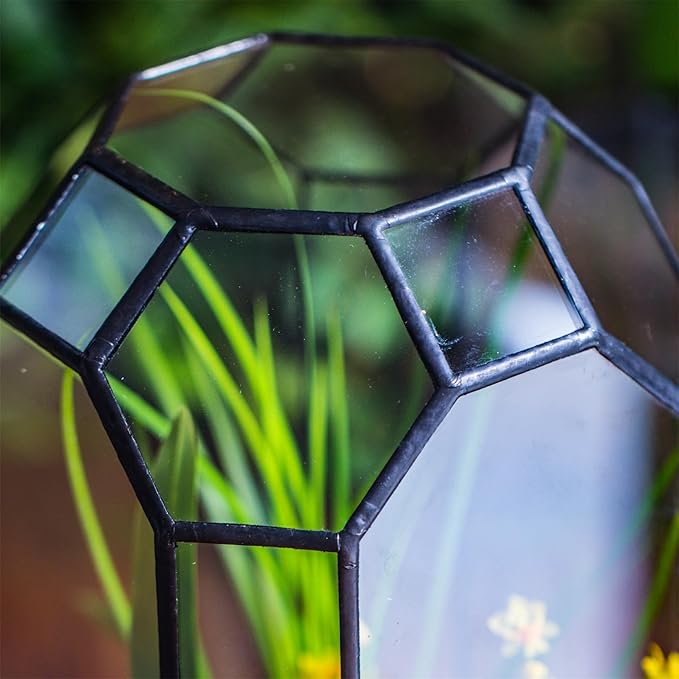 NCYP Open Glass Geometric Terrarium for Plant, Succulent, Cacti - 5.5"x5.5"x12.8" Indoor Tall Octagon Glass Planter, Home Garden Office Vintage Decoration, Micro Landscape (Terrarium Only)