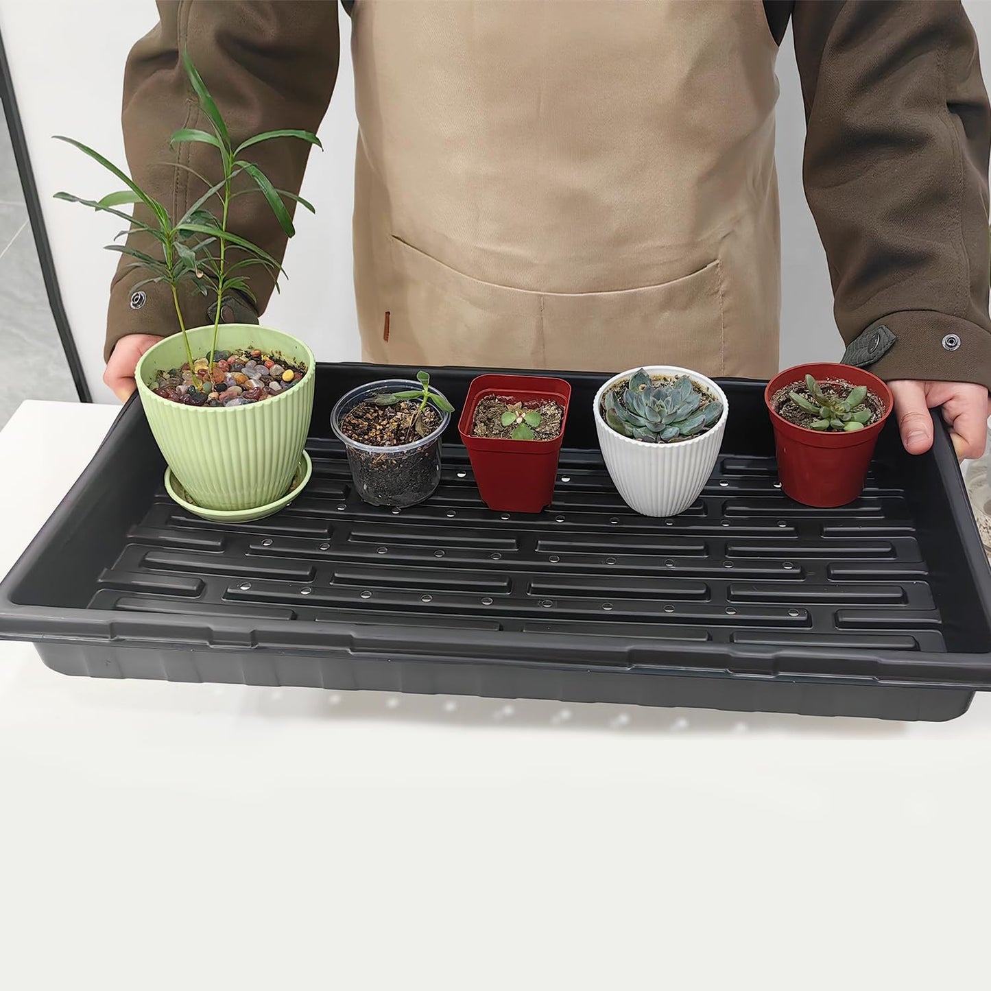 18-Pack 1020 Seedling Trays with Holes - Extra Strength Heavy Duty,10" x 20", Reusable 1020 Nursery Trays for Seed Germination, Plant Propagation, Garden Seed Starter and Microgreens