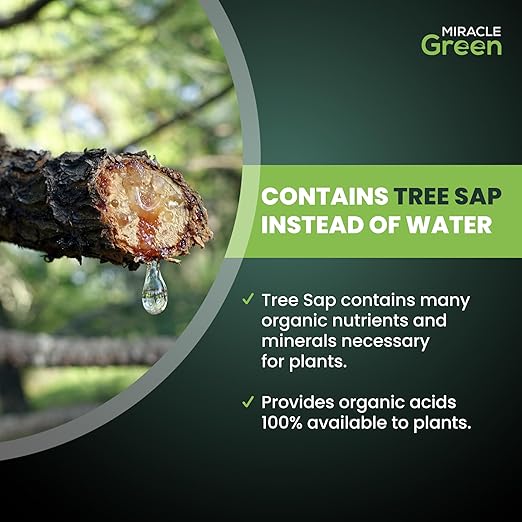 Miracle Green Fast-Acting Liquid Fertilizer- Special Formula with Tree Sap & Yucca Plant Extract - All-Purpose Fertilizer for Houseplants, Flowers, Fruits, Vegetables & Trees (8 oz Plant Food)