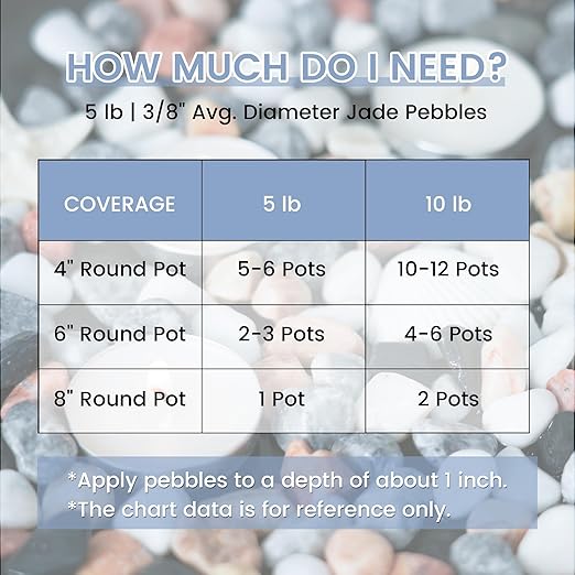 SIDONG 5 LB Natural Mixed Color Gravel Pebbles, 2/5 Inch Small Pea Gravel Stones, Decorative River Rocks for Succulents, Aquariums, Vases, Indoor Plants, Garden Landscaping, DIY