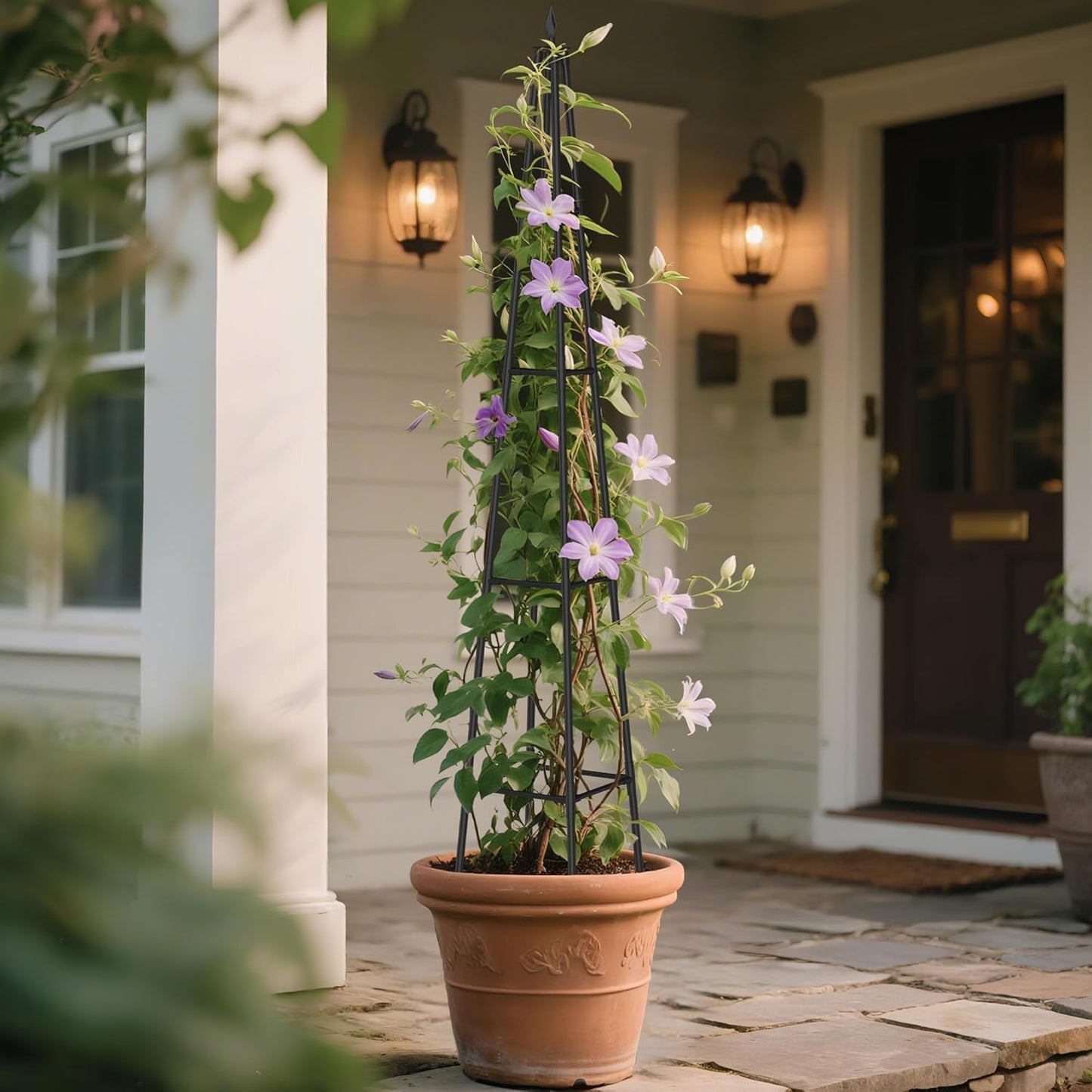 6 FT Obelisk Trellis for Climbing Plants Outdoor, 6FT Garden Trellis with Extra Thickened Plastic-Coated Metal Pipes, Garden Indoor Potted Plant Support, Climbing Support for Potted Plants