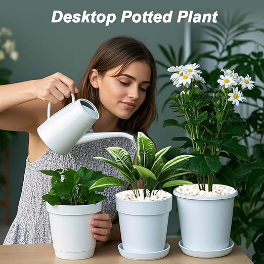 Landscaping Pebbles River Rocks Decorative Ornamental Pebbles Garden Landscaping Stones Gravel Filler for Home Decoration Flower Bed Fish Tank Plants Vases Succulents (1, White, 1 Pound)