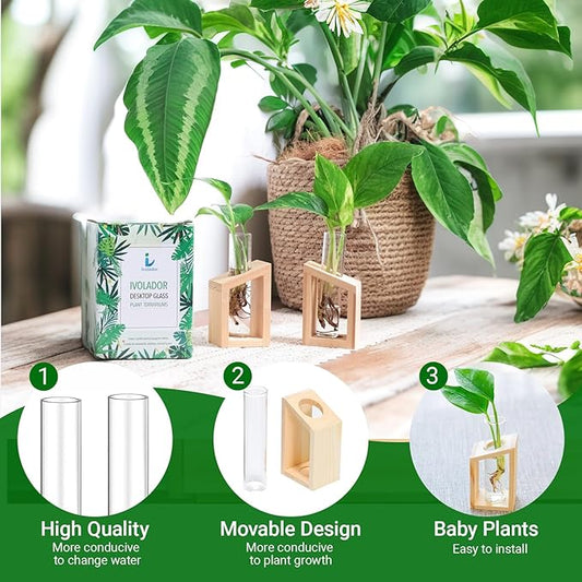 Propagation Station, Plants Terrarium, Plants Lover Gifts for Women,Plant Cutting Holder Home décor,Gifts for Women,House Warming New Home-2 Tubes-Beige
