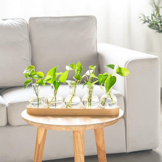 Mkono Desktop Plant Propagation Glass Vase Station Retro Terrarium with Wooden Tray Bulb Flower Container Perfect for Propagating Hydroponic Plants Home Office Decor Lover Gift Idea, Beige (YYBL0035)