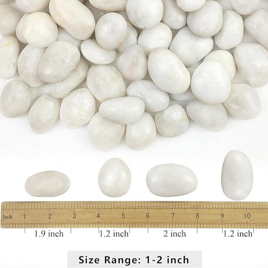 2lbs White River Rocks, 1-2 Inch Natural Pebbles for Indoor Plants, High Polished Decorative Stones Vase Filler Fish Tank Aquariums Landscaping Garden Outdoor and Indoor DIY