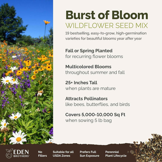 Eden Brothers Burst of Bloom Wildflower Mixed Seeds for Planting, 5 lb, 2,400,000+ Seeds with Cosmos, Black Eyed Susan | Attracts Pollinators, Plant in Spring or Fall, Zones 3, 4, 5, 6, 7, 8, 9, 10
