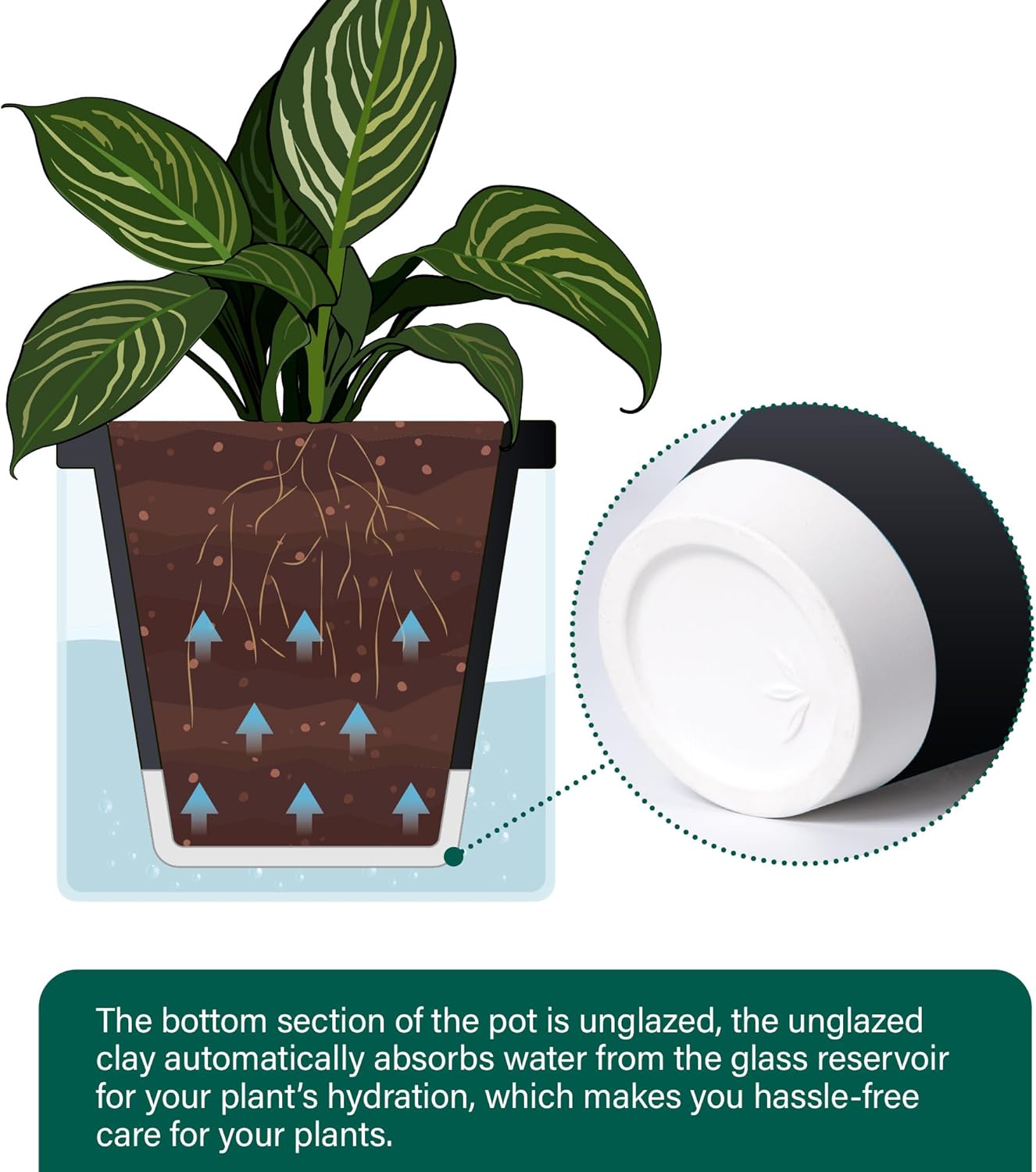 D'vine Dev 10 Inch Design Self Watering Planter for Indoor Plants, Black Terracotta Pot with Cylinder Glass Cup, 37-X-D-3