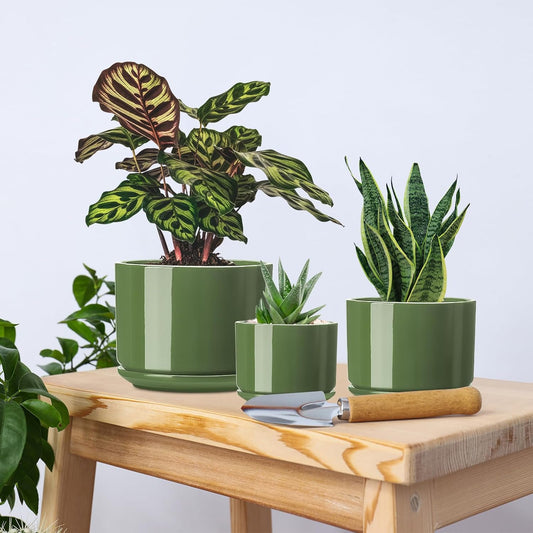 EFISPSS Ceramic Plant Pots, 4+5+6 Inch Pots for Indoor Plants, Planter Pot with Drainage Hole,Flower Pots for Succulent Cactus,Set of 3 - Patina