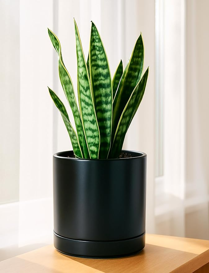 D'vine Dev Set of 2 Plants Pots, 8.2 Inch Ceramic Planter Pot for Plants with Drainage Hole and Saucer, Black, 94-V-D-2