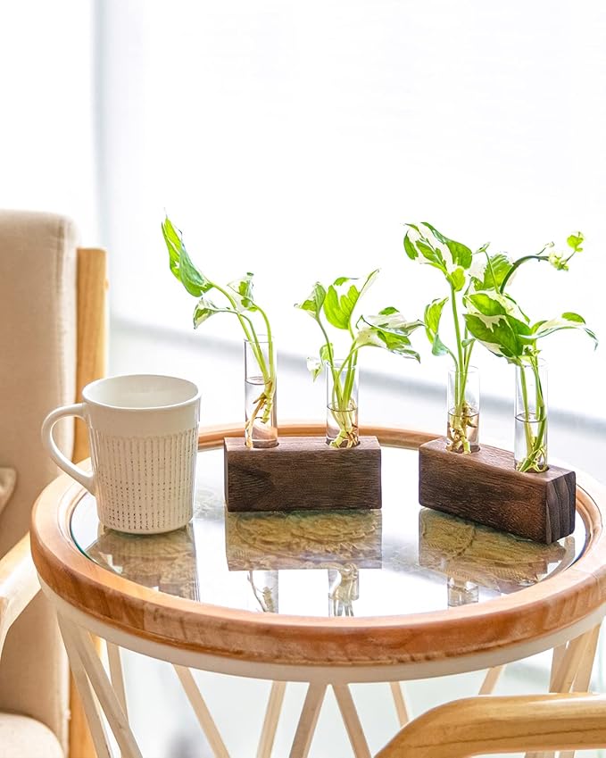 Propagation Station, Plants Terrarium, Plants Lover Gifts for Women,Plant Cutting Holder Home décor,Gifts for Women,House Warming New Home-4 Tubes-Brown