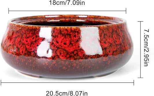 ARTKETTY Succulent Pots - 8 Inch Plant Pot, Large Bonsai Pots with Drainage, Ceramic Planters for Indoor Outdoor Plants, Round Shallow Cactus Flower Plant Container Bowl Decorative Home Garden