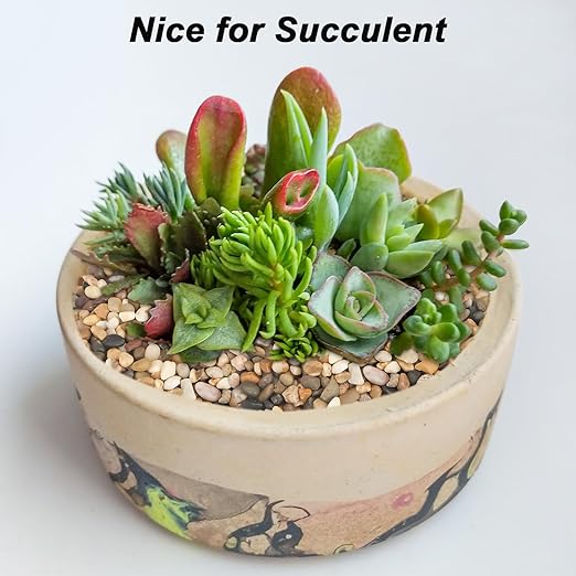 Landscaping Pebbles River Rocks Decorative Ornamental Pebbles Garden Landscaping Stones Gravel Filler for Home Decoration Flower Bed Fish Tank Plants Vases Succulents (Mix Color, 10 Pounds)