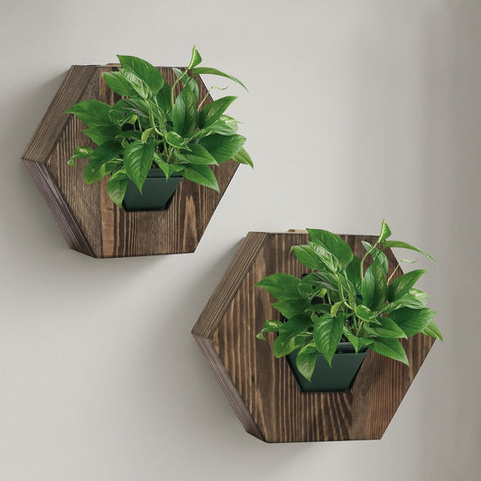 Hexagonal Wooden Wall Planter, Self Watering Living Vertical Planter Indoor, Wooden Frame Planter Wall Decoration Home Office,2pc Walnut