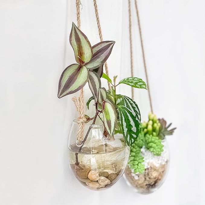 Propagation Station, Plants Terrarium, Plants Lover Gifts for Women,Plant Cutting Holder Home décor,Gifts for Women,House Warming New Home-2 Bowl Shape