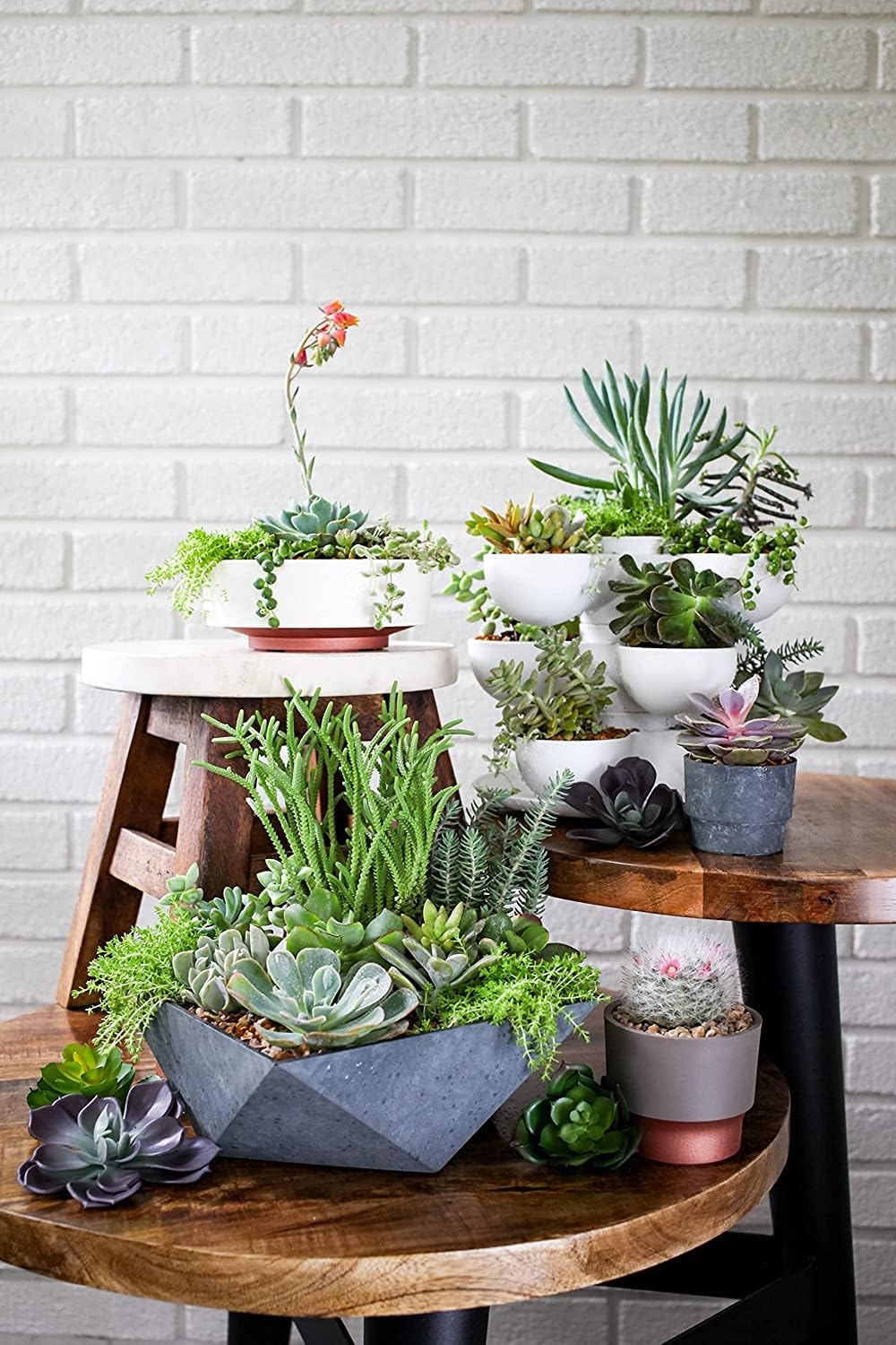 The HC Companies 8 Inch Round Stacking Decorative Indoor Pixie Succulent Flower Planter Pot with 3 Planting Levels, Artisan Taupe