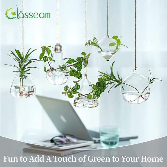 Glasseam Hanging Planters Glass Terrarium: 5Pcs Modern Plant Propagation Stations Hydroponic Wall Vases for Air Plants Flowers Indoor Window Home Decor