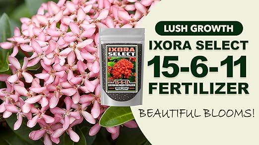 Fertilizer Commercial Grade | Ixora Select 15-6-11 | 3 Pounds | Custom Professional Mix | Granular Slow Release | 90-Day Soil Acidifier | Acid-Loving Plants Ixora Gardenia Azalea Camellia | Topdress