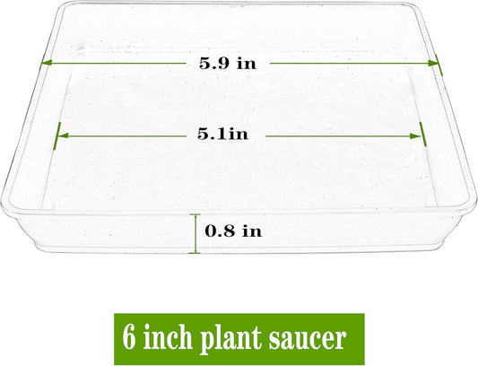 Square Plant Saucer 6inch 5 Pack, Plastic Plant Saucers, Plant Water Dray Tray, 8 10 12 14 16 18 20 Inch Garden Planters for for Pots Base Indoors and Outdoors Plants(6 inch Black)