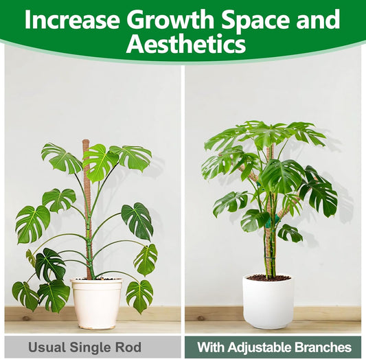 Moss Pole 30 Inch, 2 Pack Monstera Plant Support, Bendable Plant Stakes for Indoor Plants, Plant Sticks Support Tall,Coco Coir Plant Poles for Climbing Plants, Pothos, Philodendron