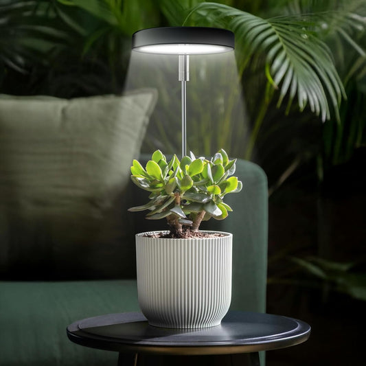 Grow Lights for Indoor Plants Small Potted - Full Spectrum, Auto 3/9/12H Timer, 10-Level Dimming & Adjustable Height - Compact Grow Light for Succulents, Herbs, Foliage in Home/Office (Black,2PACKS)