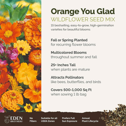 Eden Brothers Orange You Glad Flower Mixed Seeds for Planting, 1 lb, 480,000+ Seeds with Dahlia, Double Strawflower | Attracts Pollinators, Plant in Spring or Fall, Zones 3, 4, 5, 6, 7, 8, 9, 10