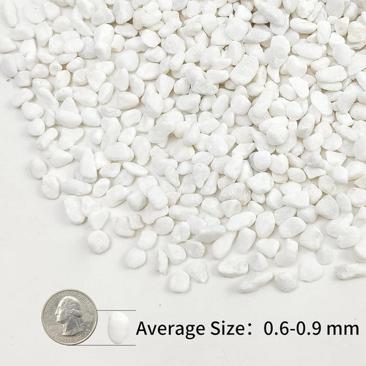 2lbs White Pebbles for Indoor Plants, 3/8inch Small Rocks for Succulent Cactus Planters, Natural Polished Pebbles, River Rocks for Plants, Vases, Garden