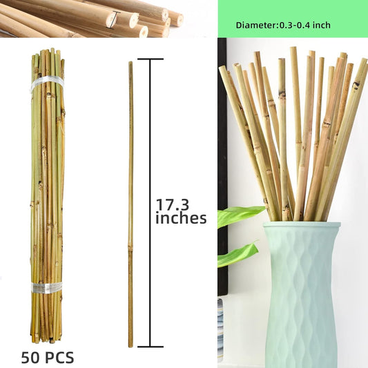 0.32”-0.4"/18Inch Garden Stakes, Natural Bamboo Sticks Plant Stakes for Indoor and Outdoor Plants,Poles for Tomatoes, Beans, Potted Plants(50Pcs)…
