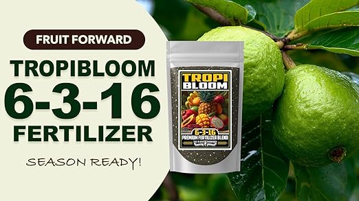 Fertilizer Commercial Grade | TropiBloom 6-3-16 | 3 Pounds | Custom Professional Mix Blend | High-Potassium | Tropical Fruit Trees | Micronutrients with Chelated Iron | Support Yield Flavor Structure