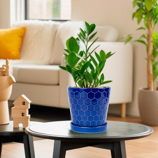 BUYMAX Plant Pots Indoor –6 inch Ceramic Flower Pot with Drainage Hole and Ceramic Tray - Gardening Home Desktop Office Windowsill Decoration Gift, Set of 2(Royal Blue)