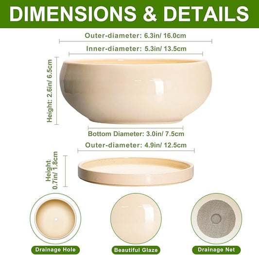 Succulent Pots 8 Inch - Ceramic Bonsai Pots with Drainage Hole and Tray, Shallow Plant Pot Indoor Outdoor, Bonsai Tree Pot, Round Modern Planter Bowl, Garden Decor, Gardening Gift, Beige