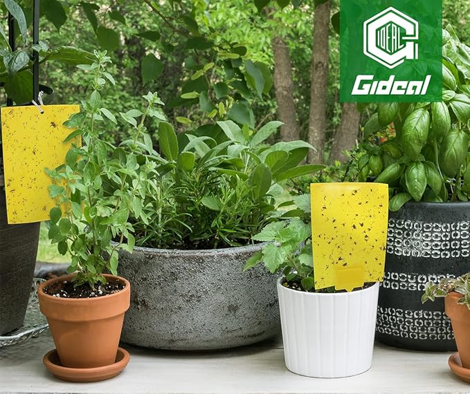 Gideal 50-Pack Dual-Sided Yellow Sticky Traps for Flying Plant Insect Fungus Gnats Whiteflies Aphids Leafminers Thrips (6x8 Inches, Included 50pcs Twist Ties)