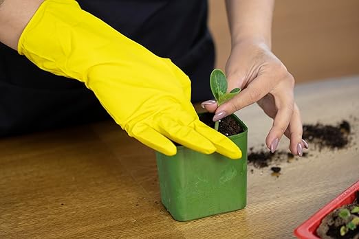 Organic Worm Castings Premium Worm Castings Fertilizer for Nutrient-Rich Soil and Healthy Plant Growth (3 QUARTS)