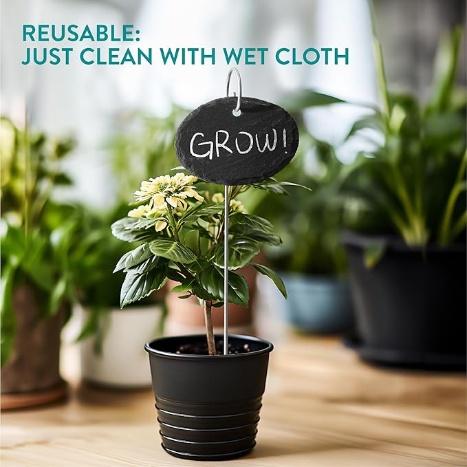 Navaris Slate Plant Labels (15 Pieces) - Garden Marker Label Signs with Stakes - Markers for Plants, Vegetables, Herb Gardens - with Chalk Pencils - Oval