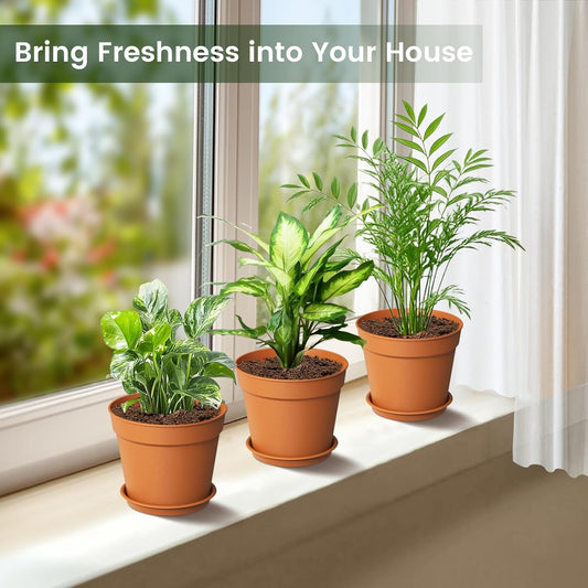 10 Pack 6 Inch Plant Pots with Drainage and Saucers, Plastic Flower Pots for Indoor and Outdoor Plants, Stackable Nursery Planters for Houseplants and Herbs, Terracotta