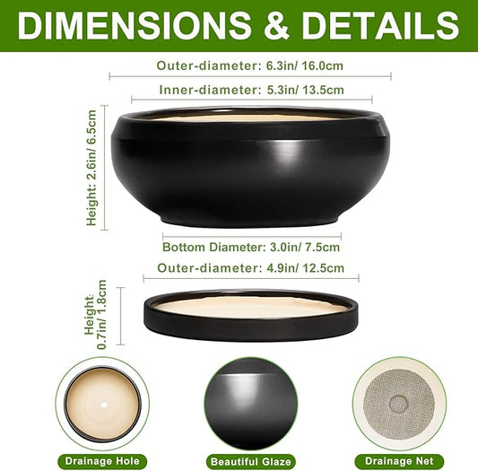 Bonsai Tree Pots Small - 6 Inch Ceramic Succulent Pots for Indoor Plants Outdoor, Round Planter with Drainage Hole and Saucer, Shallow Planter Bowl, Bathroom Decor, House Warming Gift, Black