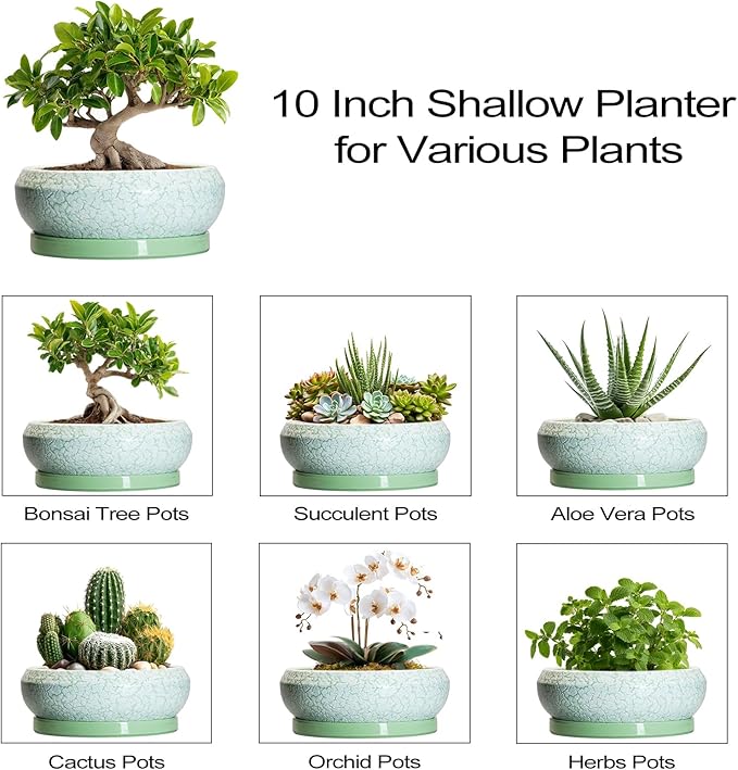 Bonsai Pots - 10 Inch Ceramic Succulent Pot with Drainage Hole and Plant Saucer, Succulent Planters for Indoor Outdoor, Round Planter Bowl, Shallow Planter, Home Decor, Gardening Gift, Green
