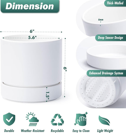 Phoenix Vine 6 Inch Planter Pot with Drainage Hole & Saucer, Deep Water Catch Tray, Straight Cylindrical Round Pot for Plants, Matte White, Pack of 4, 23-B-S-4