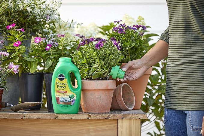 Miracle-Gro Pour & Feed Plant Food (Liquid), 32 fl. oz. (6 Pack)